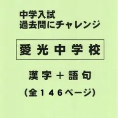 【漢字＋語句】愛光中学校（愛媛）の過去問（554円割引）のサムネイル