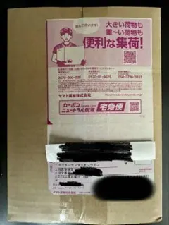 ニンジャスピナー　BOX シュリンク付き　ポケセン産