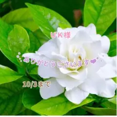 ＵＫ様 おまとめパーツ(˘͈ᵕ ˘͈ *)♡