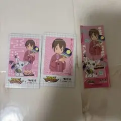 極楽湯 デジモン テイルモン 八神ヒカリ RAKU SPA カードセット