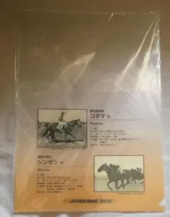 2026年最新】jra クリアファイルの人気アイテム - メルカリ