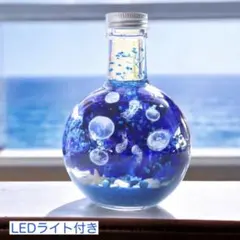 クラゲゆらめく瑠璃色の海世界＊LEDライト付き