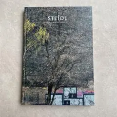 新品未開封 SAUL LEITER Early Color シュリンク付き 絶版 2025年最新】ソールライターの人気アイテム - メルカリ