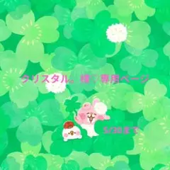 クリスタル。様♡専用ページです