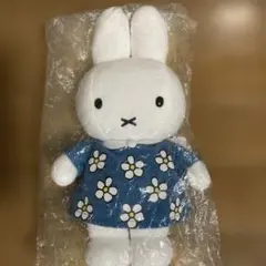 Item thumbnail for item 4fb71fb3-8037-4bbb-8f2b-a3df435b68b2