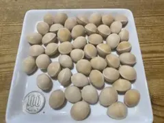 祖父江ぎんなん藤九郎Sサイズ900gのサムネイル