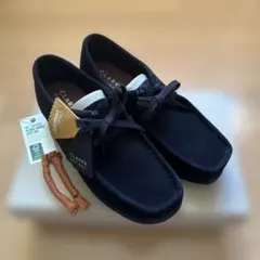 Item thumbnail for item 1e5235dc-dade-43a3-9fd9-7ecaa3a08d79