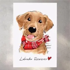 イラスト 原画 ポストカード 絵 【ラブラドールレトリバー】201