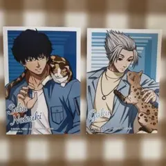 サカモトデイズ 楽 勢羽 猫と戯れ アニメイト 特典 ブロマイド