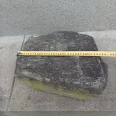 [후쿠오카 직송] 자연석 정원석 명승석 감사석