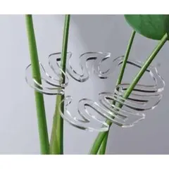 モンステラ 観葉植物 サポートクリップ 固定クランプ 3点セットのサムネイル