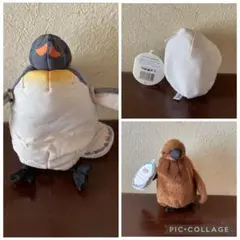 YOU+MORE! 海遊館 ペンギン 三変化ぬいぐるみ フェリシモのサムネイル