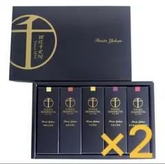 5個入り× 2箱 ギフト　銀座千疋屋 フルーツ羊羹 手提げ袋付き　贈答 手土産のサムネイル