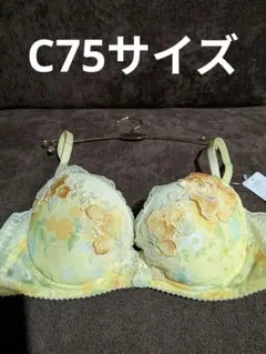 サルート、23グループリッチベールブラジャー、C75サイズ。