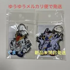 ウルトラマンタイガ 缶バッジ スケートリンク アクリルキーホルダー