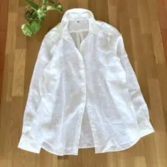 Item thumbnail for item 125a4c5e-c3aa-49a6-b682-ca4fcc60e3ce