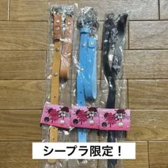愛のぬいちゃん専用リード ぶらうん、ぶるー、ぶらっく(やさしめ) 3個セット