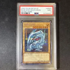 PSA10】 青眼の白龍 シークレットレア QCCP-JP001 - メルカリ
