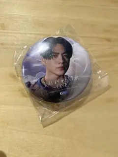 三代目 JSB 1000円ガチャ 缶バッジ 2個セット 登坂広臣