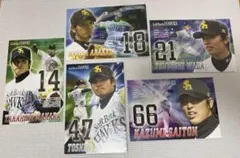 福岡ソフトバンクホークス☆ポストカード5枚セット