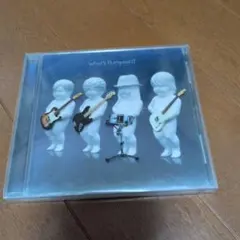 What's flumpool !?