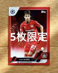 Item thumbnail for item 3b9c0c69-8544-4724-91fc-97928ac6eea9