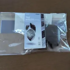 TRUE WIRELESS EARPHONES