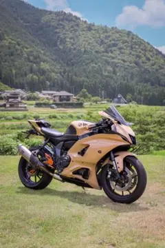 YAMAHA YZF R6 Movistar Yamaha2006年式 - メルカリ