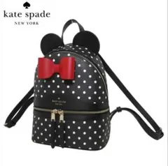 新品タグ付き Kate spadeケイトスペード ミニー ウエストバッグ ポーチ