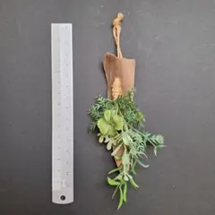 Item thumbnail for item 4a1cf1cd-dcfc-4184-b23d-0392cccad764