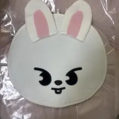 straykids リノ うちわケース leebit リービット リビ スキズ