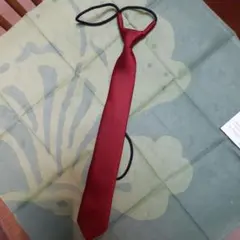 Item thumbnail for item 02af8f92-3fd7-4dfa-90dd-d75305958cc3