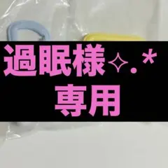 サンリオ カラフルカラビナマスコットチャーム 2種セット