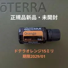 2025年最新】エッセンシャルオイルの人気アイテム - メルカリ