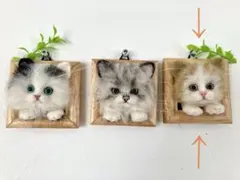 羊毛フェルト　猫　茶白ねこ　額縁　フレーム