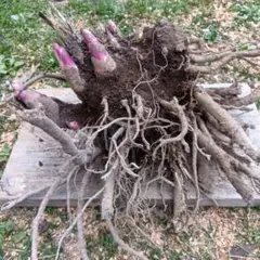 ケイティ★心こめて出品中様 リクエスト 2点 まとめ商品