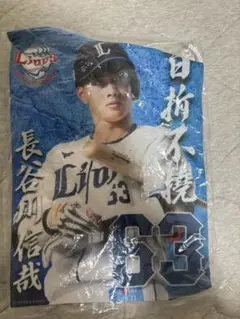 埼玉西武ライオンズ 長谷川信哉　タペストリー