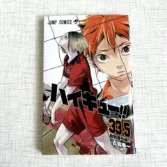 ⭐️ハイキュー　劇場版　33.5巻　入場者特典　映画　ゴミ捨て場の決戦　非売品