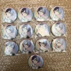 プロセカ感謝祭 オーロラ箔押し缶バッジコレクション 青柳冬弥 13点