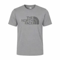 SIZE:L　【海外企画】　THE NORTH FACE　HD LOGO T