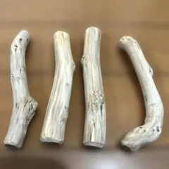 Item thumbnail for item 5d73a549-3781-461b-a598-5a2c15145e38