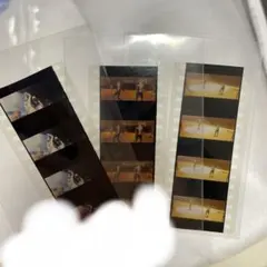 Item thumbnail for item 4016f63e-35f2-4947-a251-71bcbefaf3e8