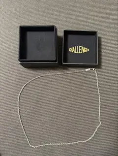 2026年最新】CHALLENGER ネックレスの人気アイテム - メルカリ