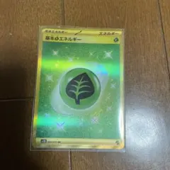 基本草エネルギー UR SV2D クレイバースト 099/071