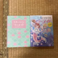 Item thumbnail for item 3bb6a4fb-87b6-404d-bd0d-ec8efa20756c