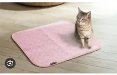 Item thumbnail for item d1863fa2-6566-4038-ad37-9a16ecd2ce22