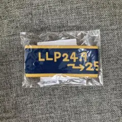 Item thumbnail for item 7210c78d-1ee4-41d9-8db2-0cd0b8299635