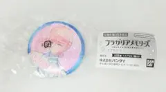 2026年最新】ルタールステラ 缶バッジの人気アイテム - メルカリ