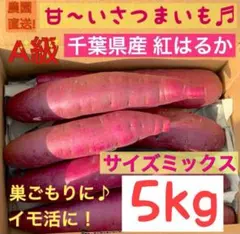 千葉県産さつまいも　熟成べにはるか　サイズミックス5kgのサムネイル