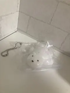 シロクマスクイーズ